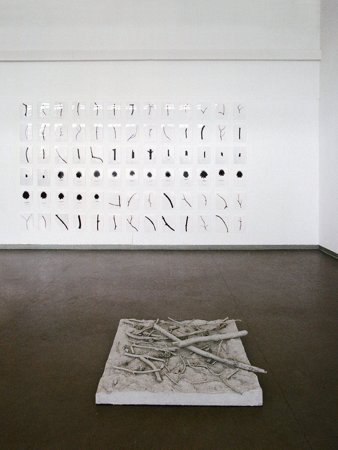 Waldboden Ansicht Installation